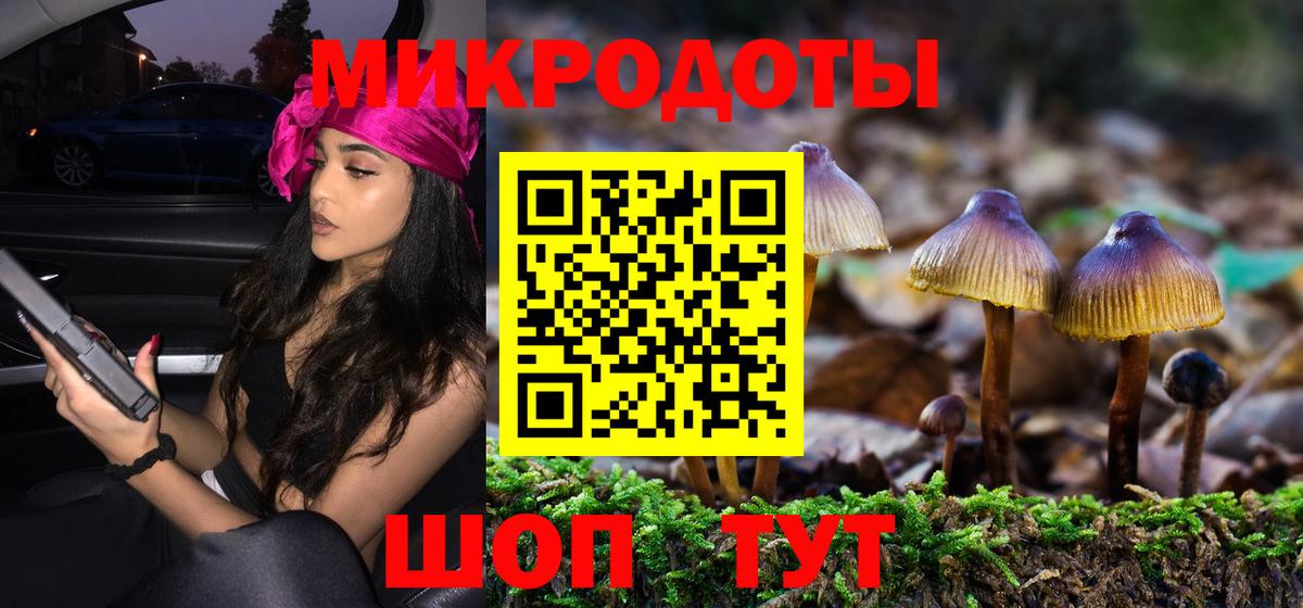 Псилоцибиновые грибы мицелий  Вход с VPN  магазин продажи наркотиков  Псилоцибиновые грибы Cubensis  Гуково 